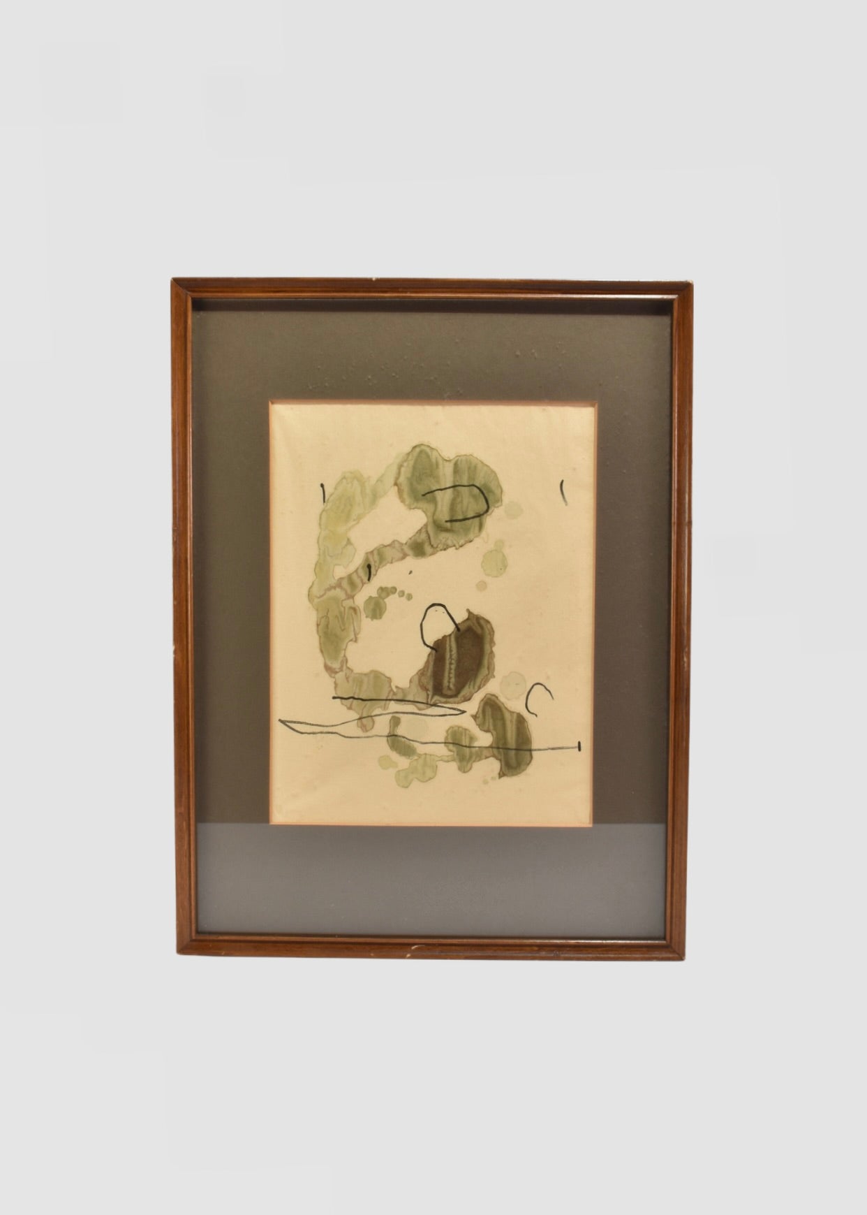 Abstract Biomorphic Study, Framed