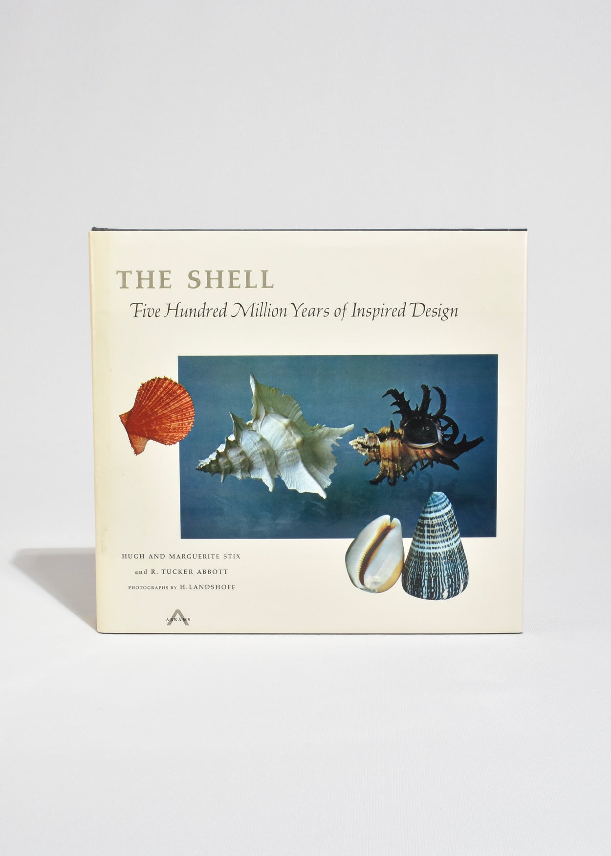 The Shell