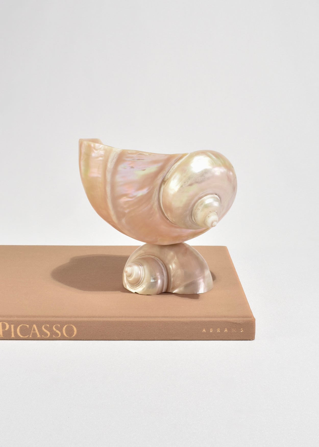 Turbo Shell Vessel