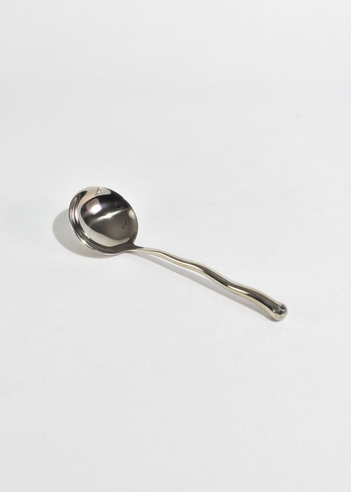 Stainless Serving Spoon