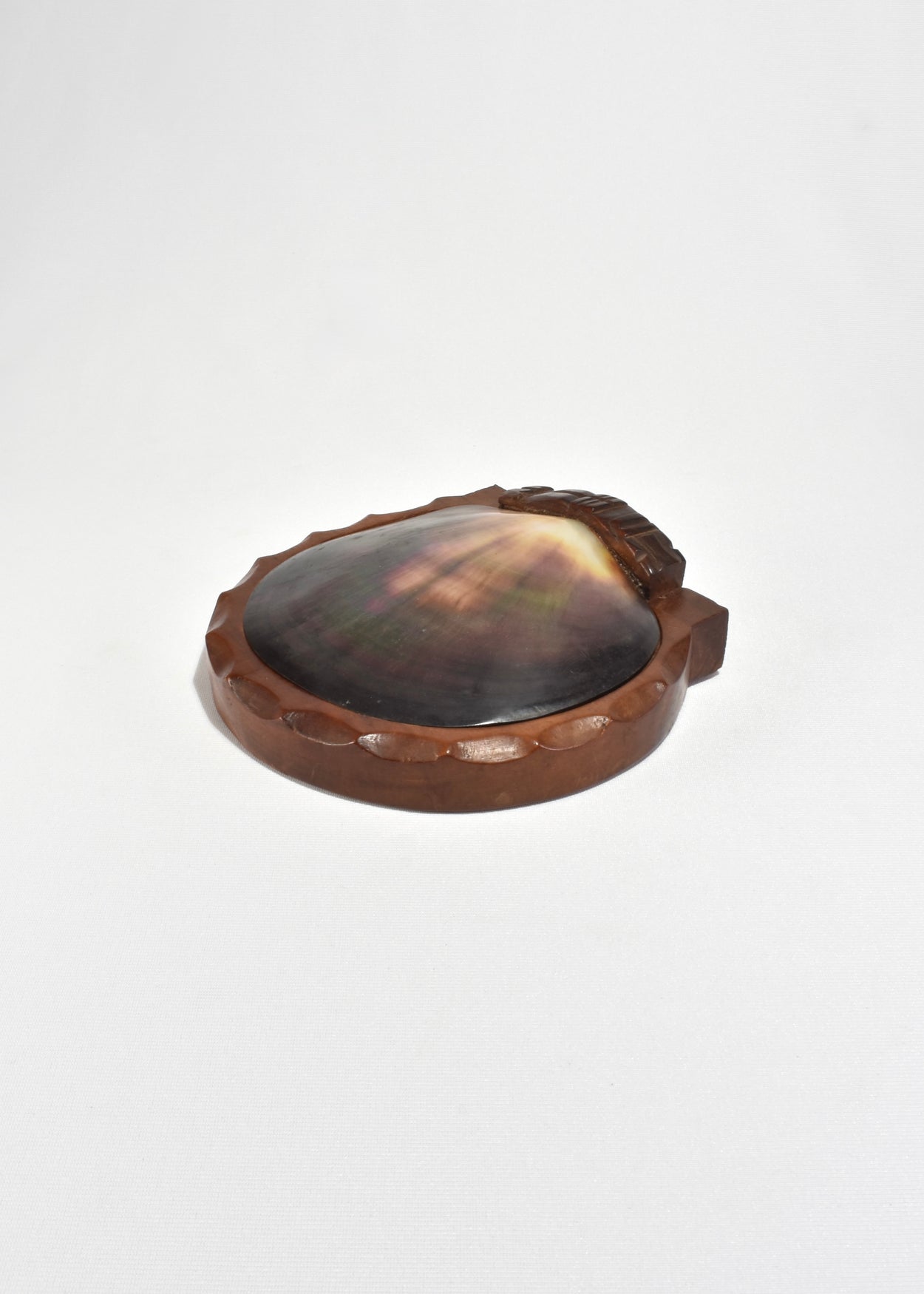 Shell Lidded Box