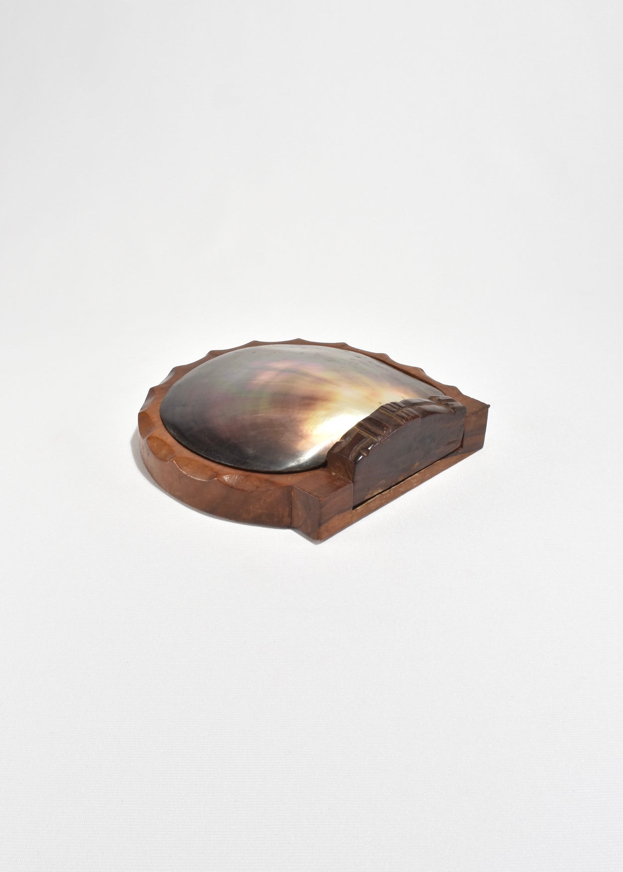 Shell Lidded Box