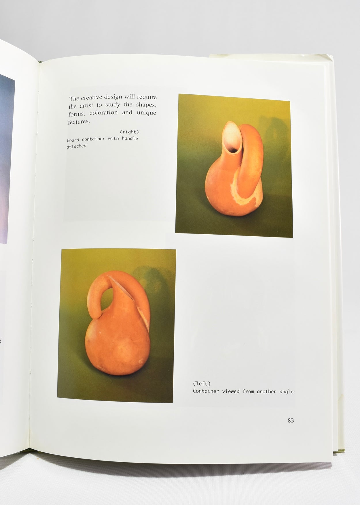 Gourds: From Vine to Design