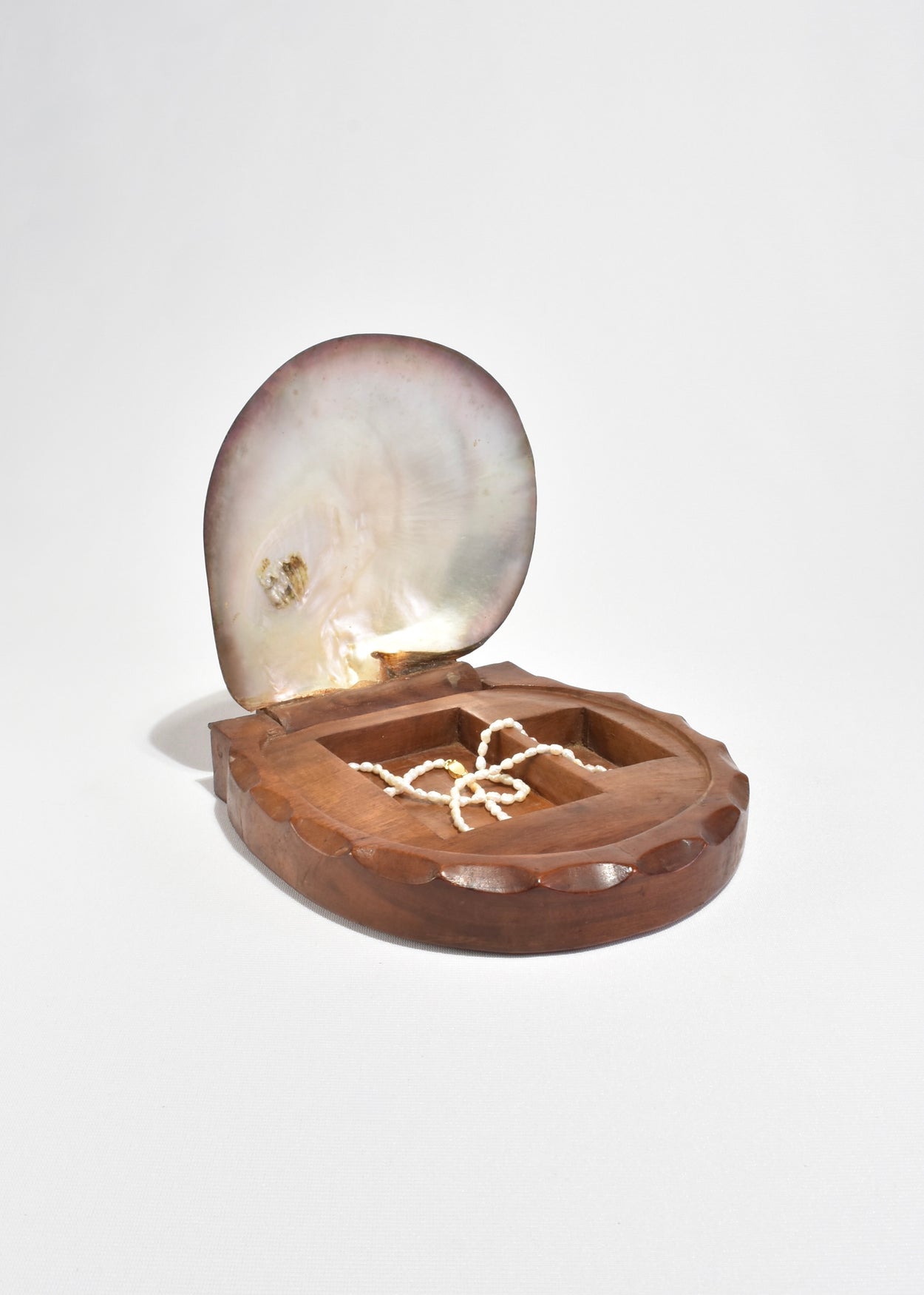 Shell Lidded Box