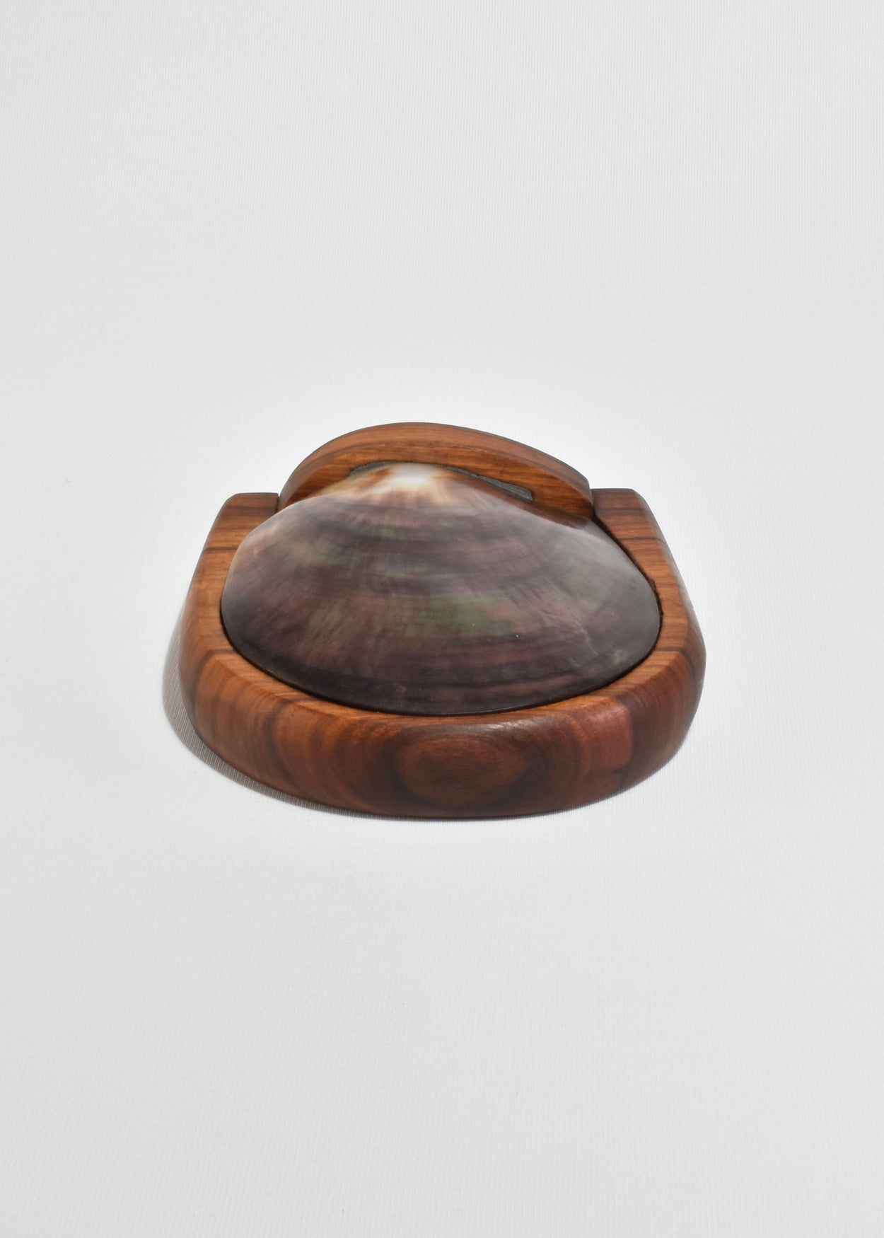 Shell Lidded Box