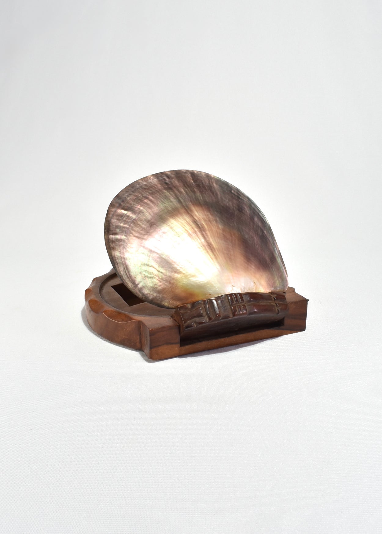 Shell Lidded Box