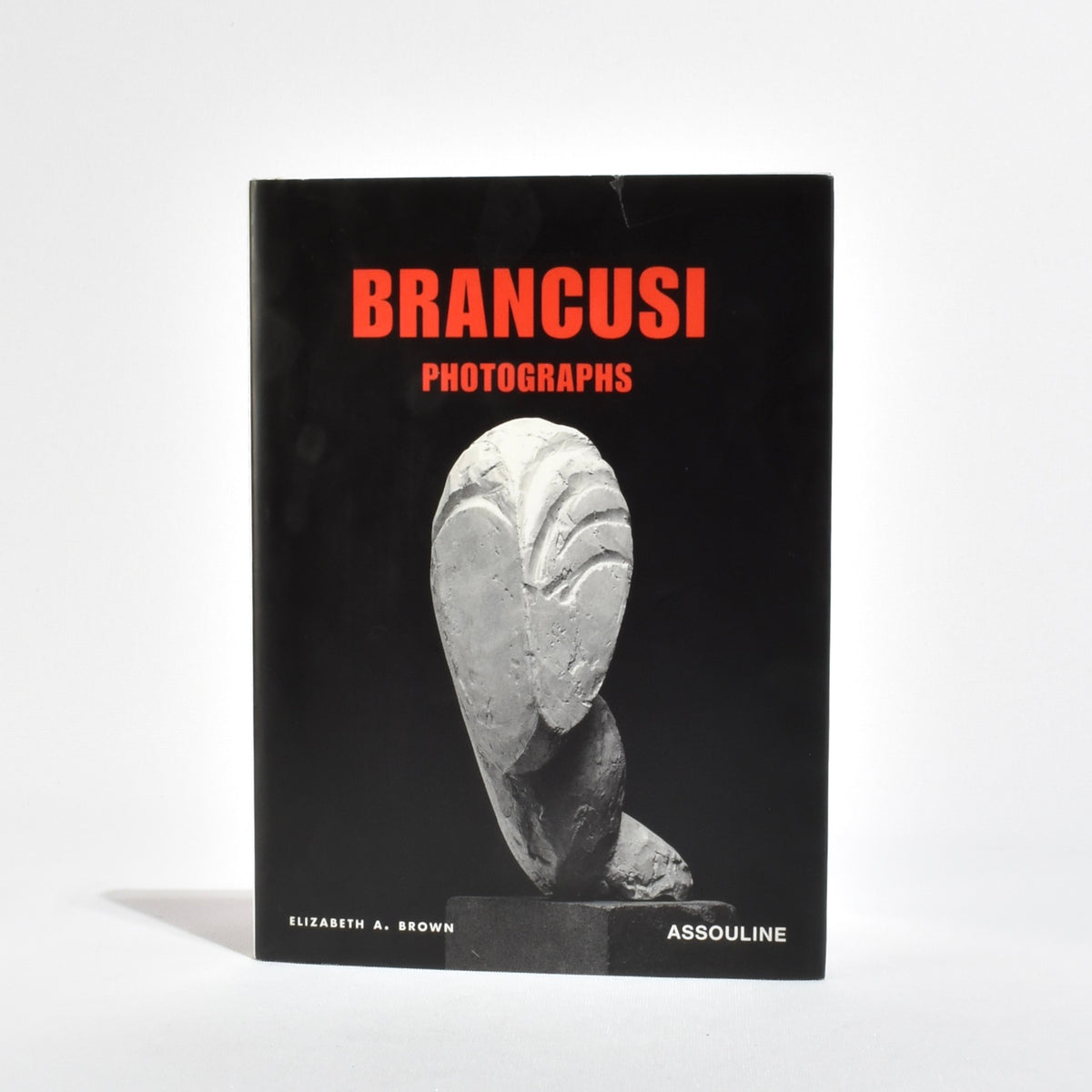 Brancusi Photographs — Casa Shop