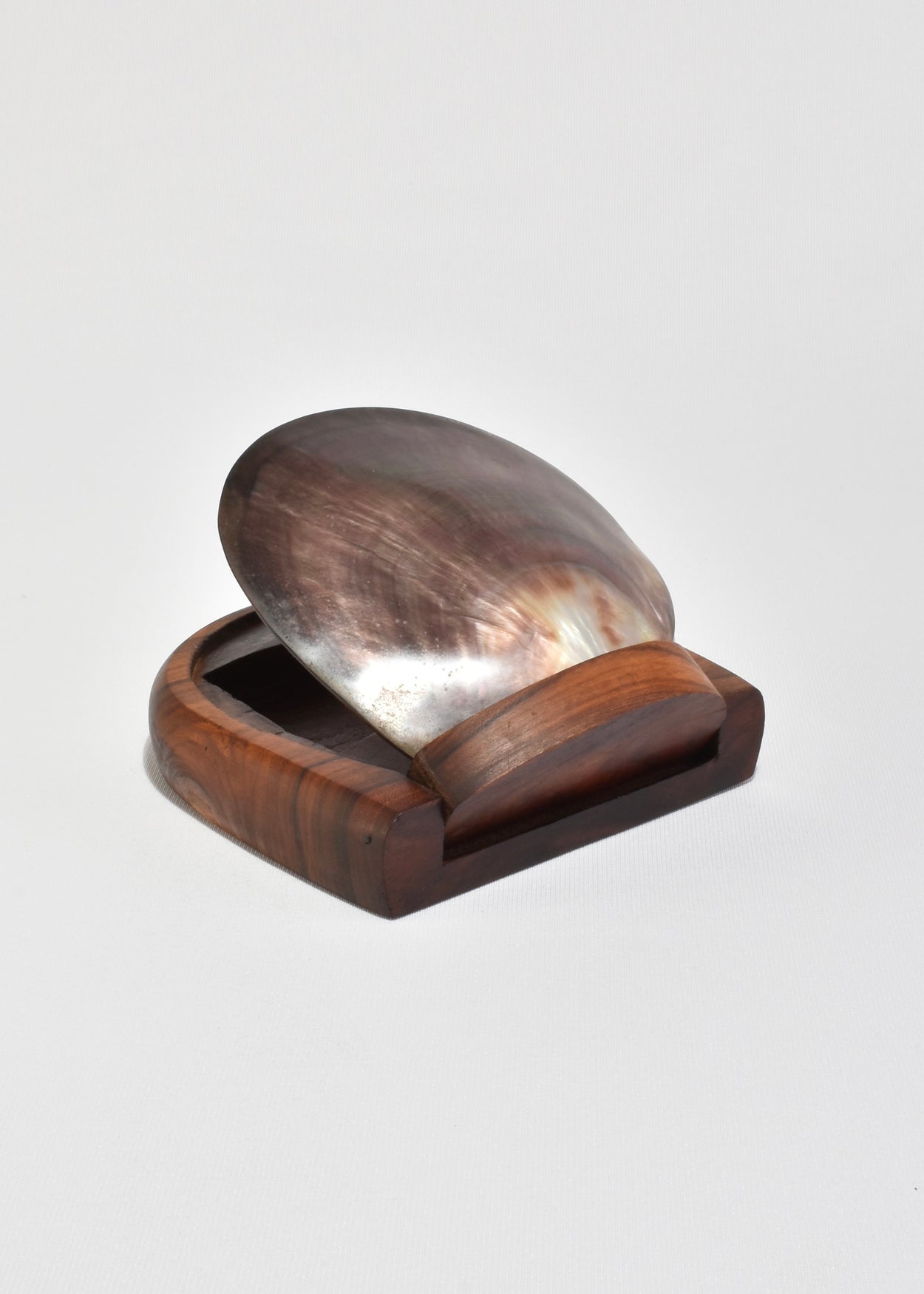 Shell Lidded Box