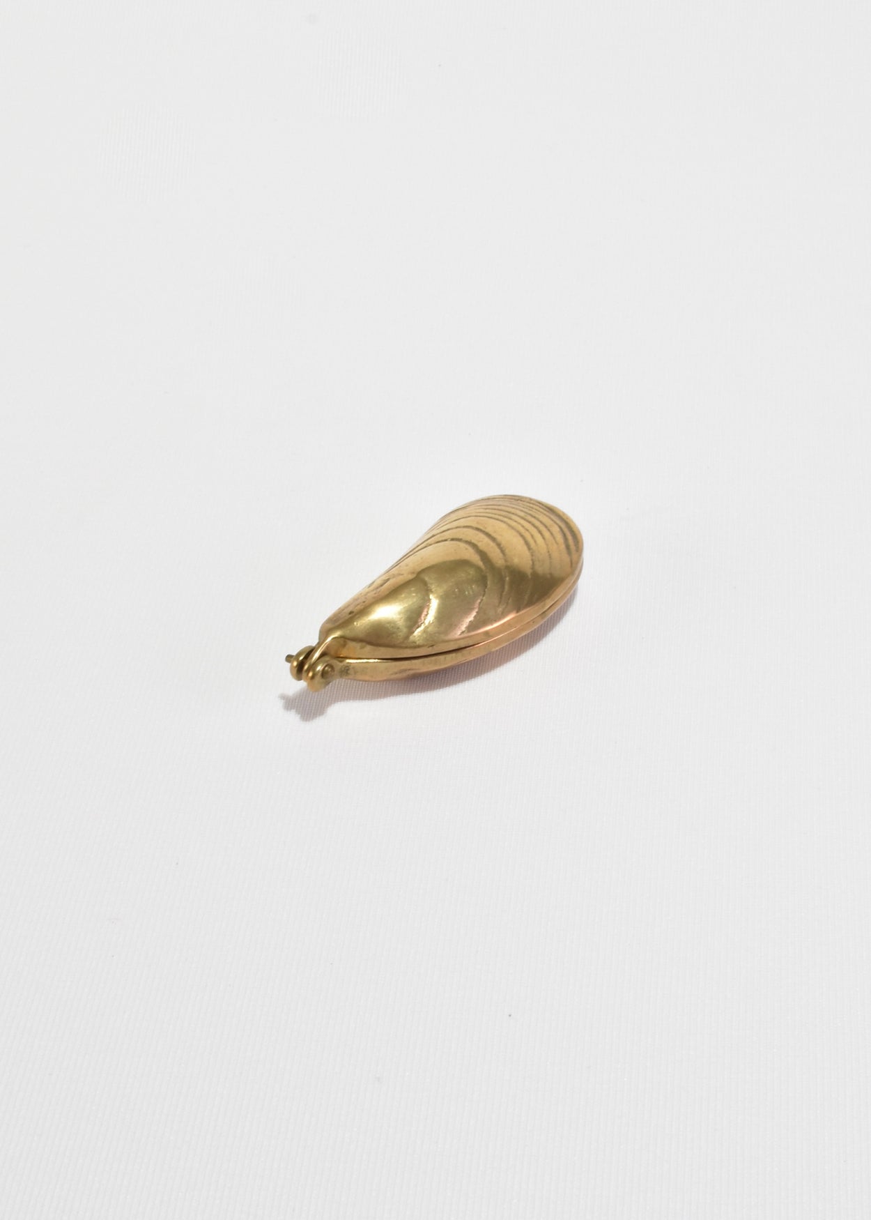 Solid Brass Mussel Shell Box