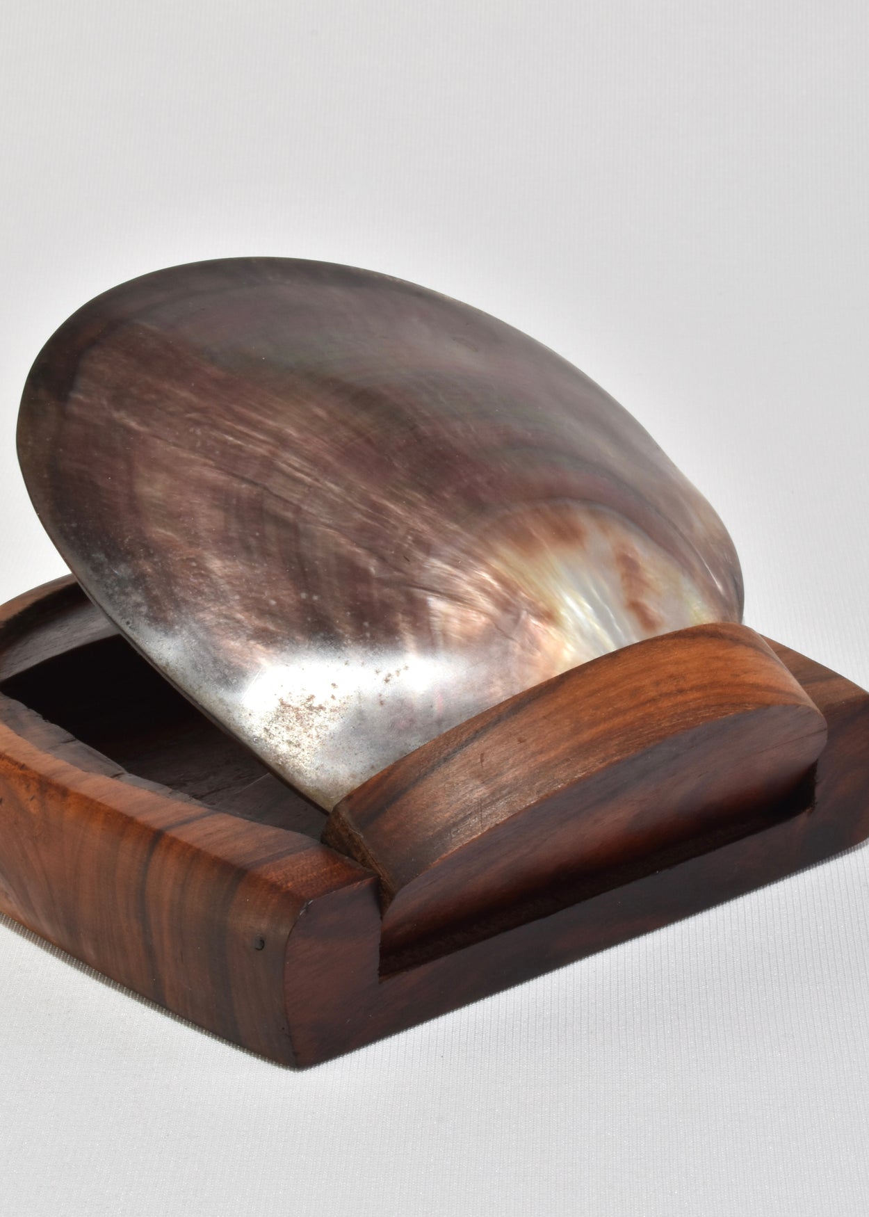 Shell Lidded Box