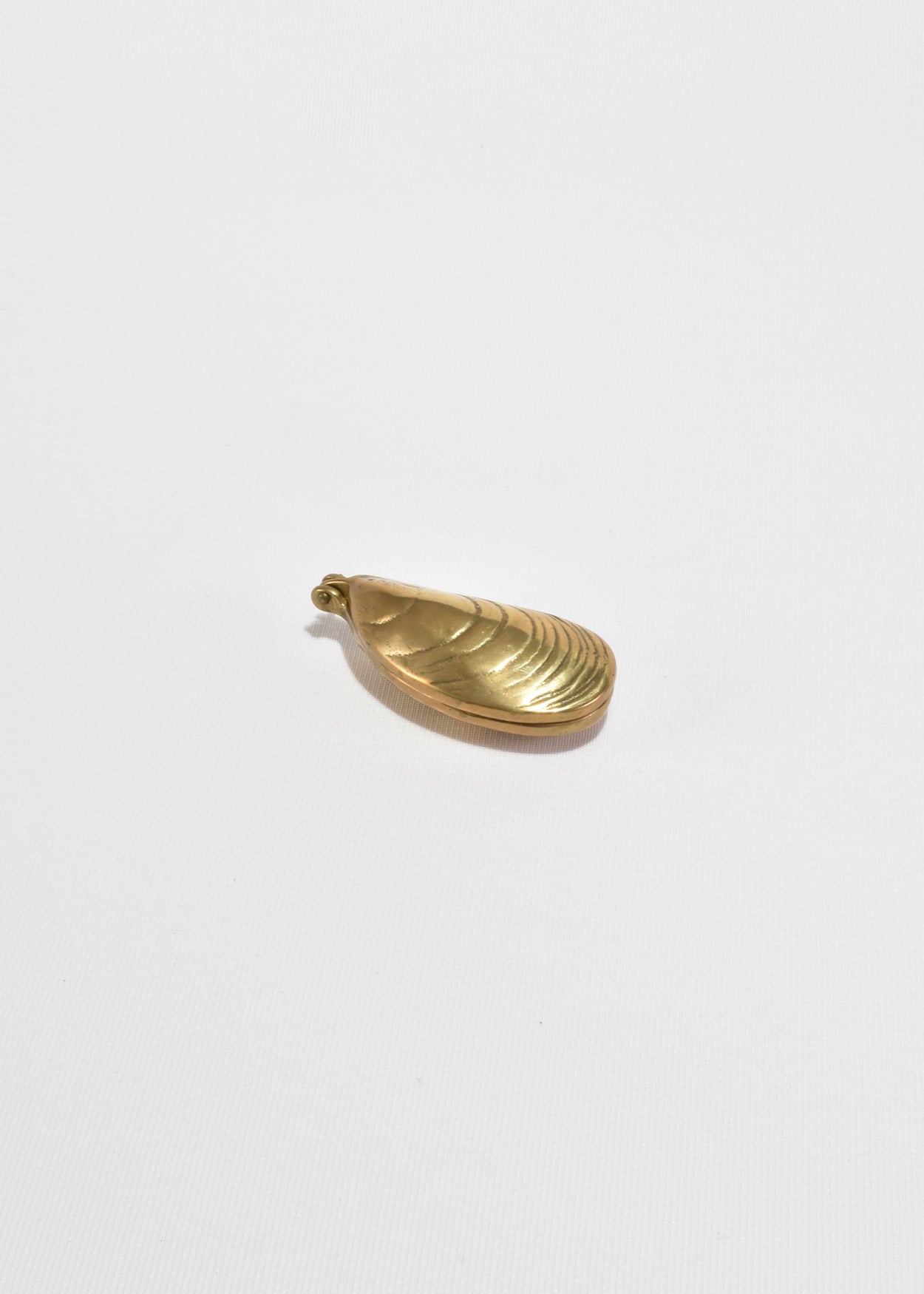 Solid Brass Mussel Shell Box