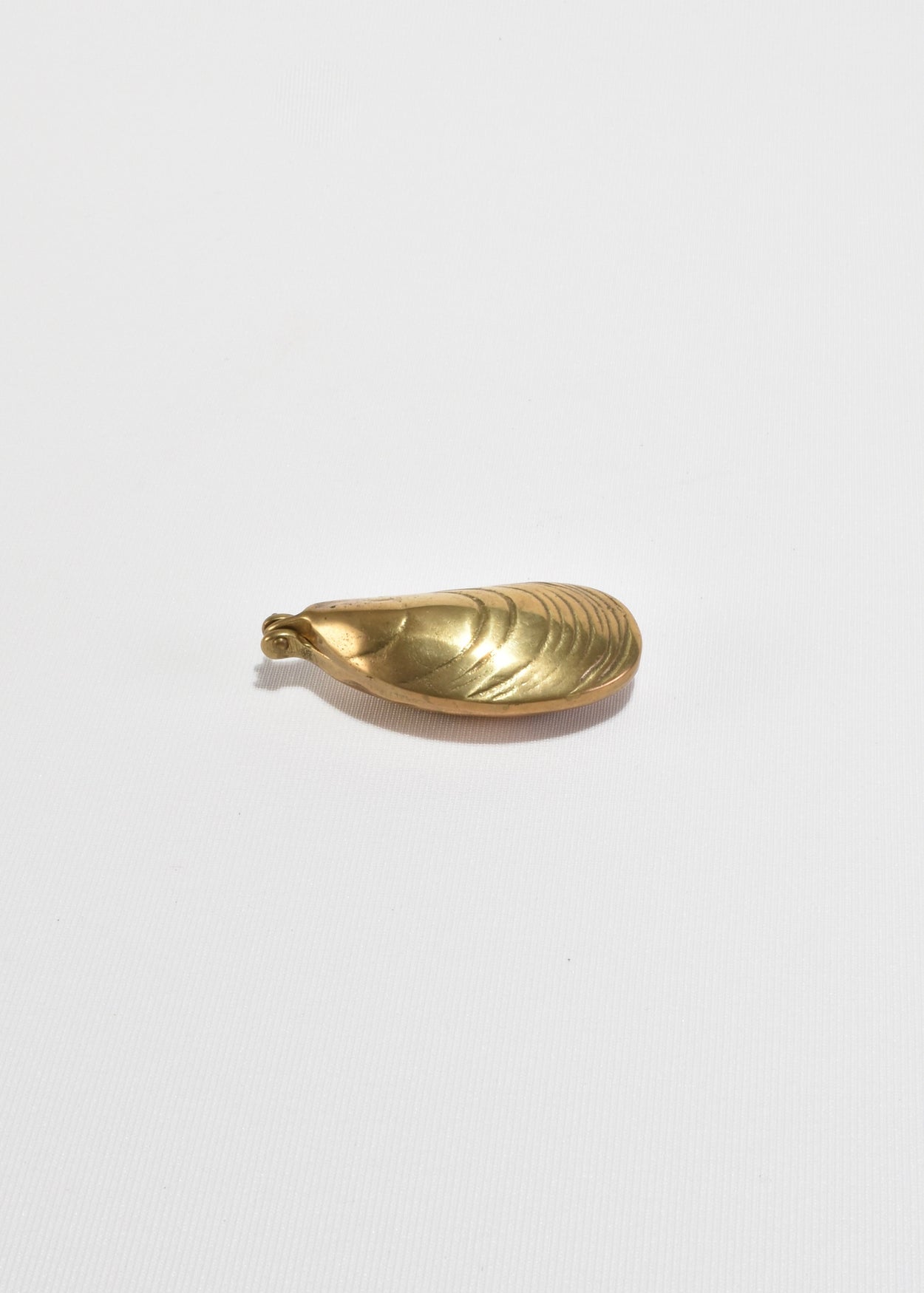 Solid Brass Mussel Shell Box