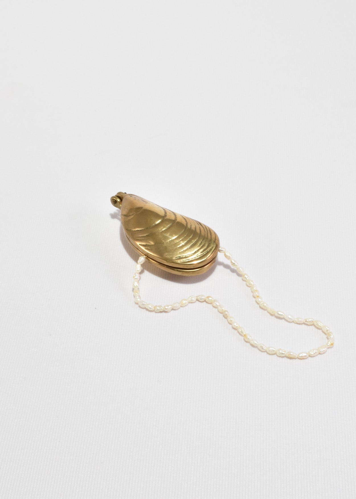 Solid Brass Mussel Shell Box