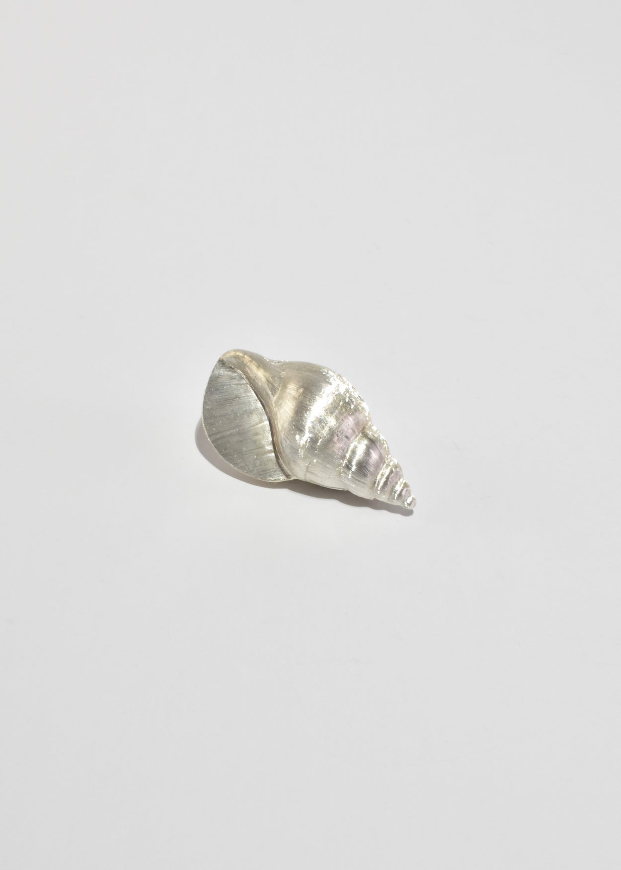 Conch Shell Pillbox