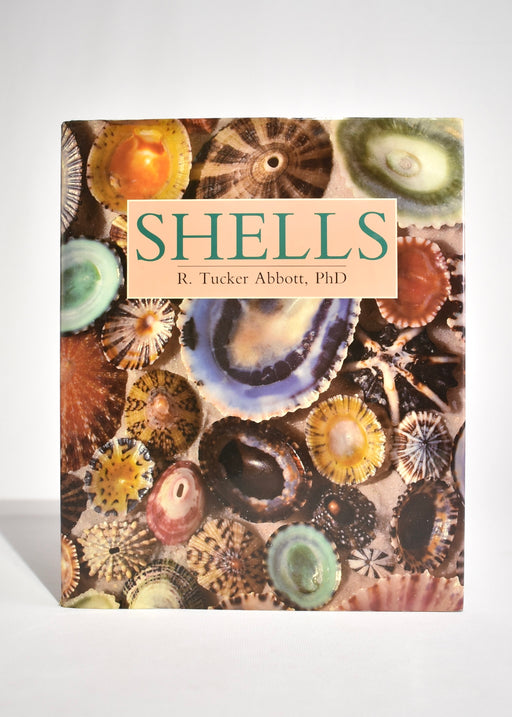 Shells
