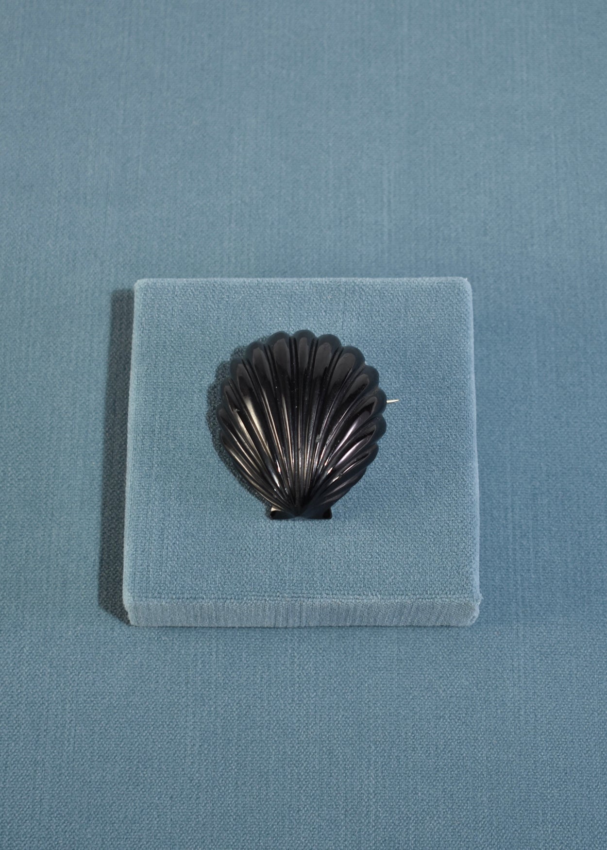 Black Shell Brooch