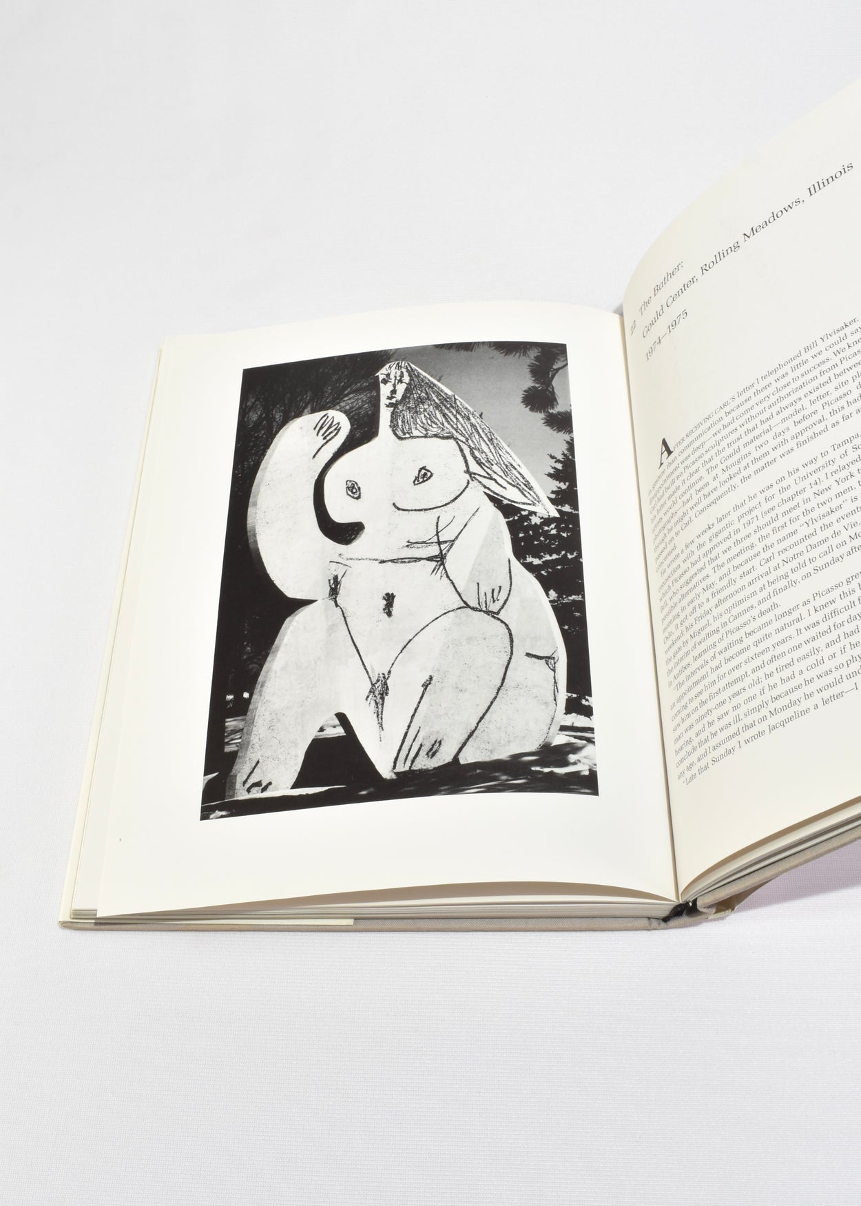 Picasso's Concrete Sculptures