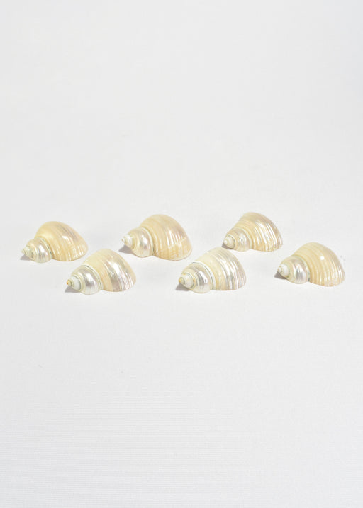 Shell Napkin Rings, Set of Six