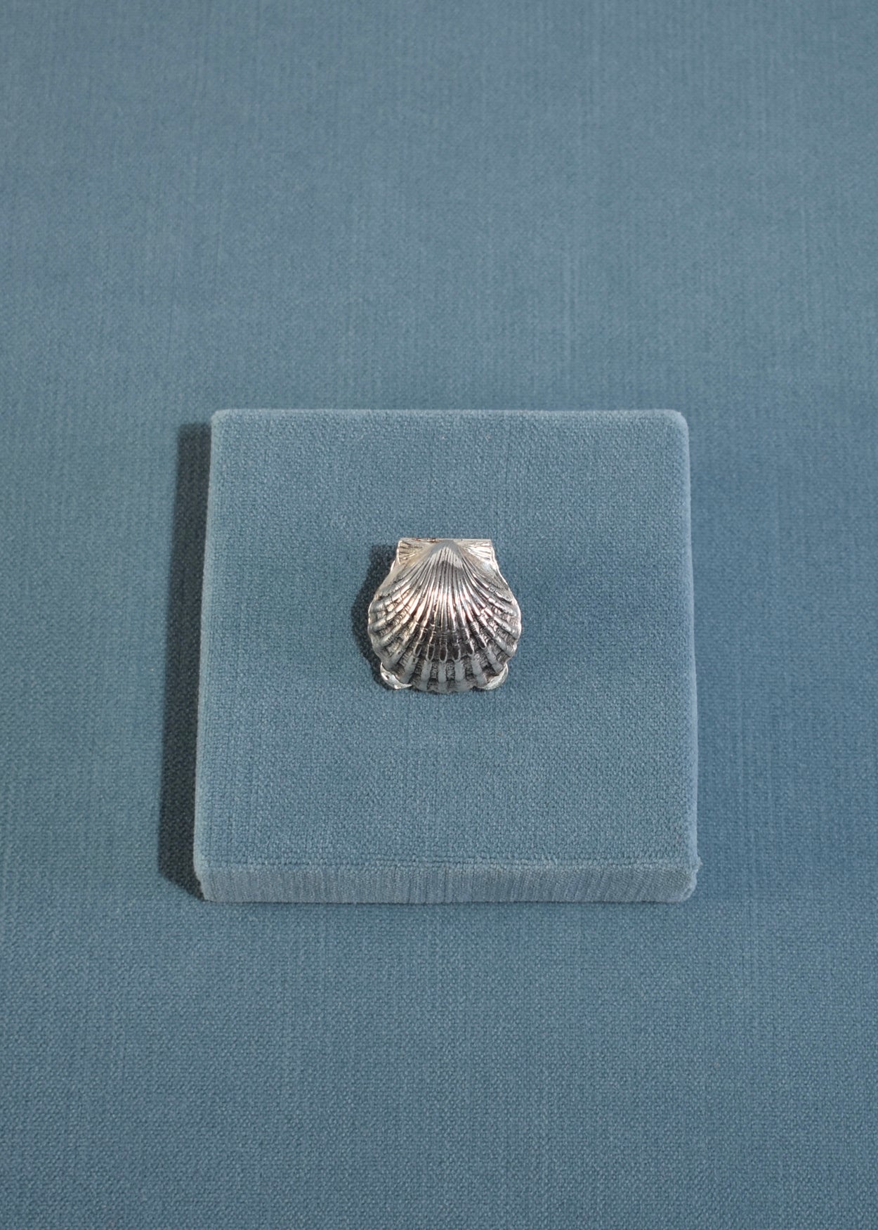 Scallop Shell Pillbox