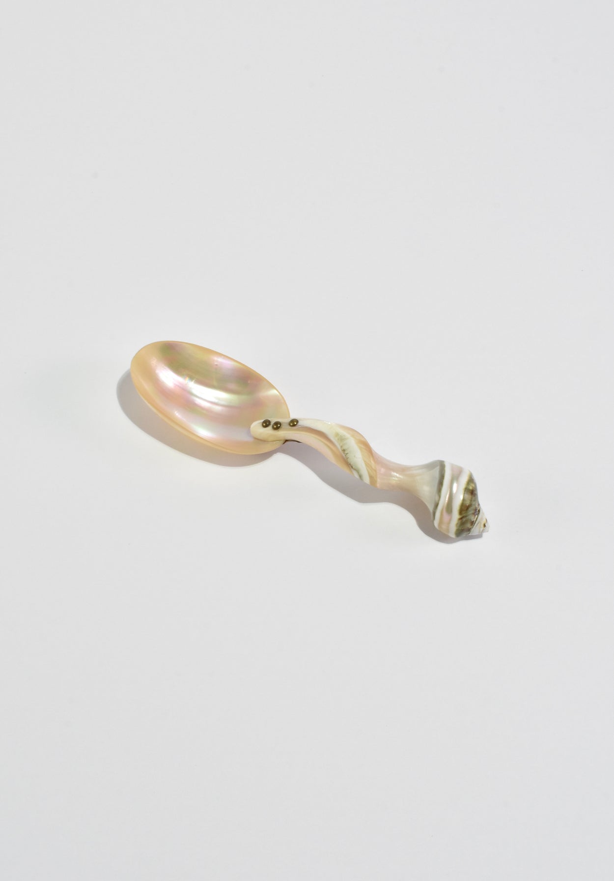 Carved Shell Spoon