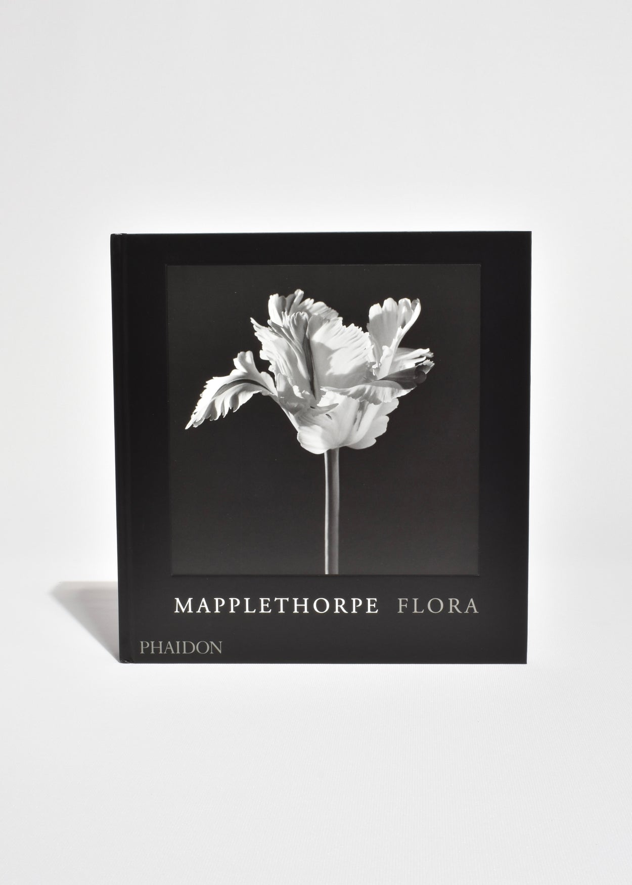 Mapplethorpe Flora