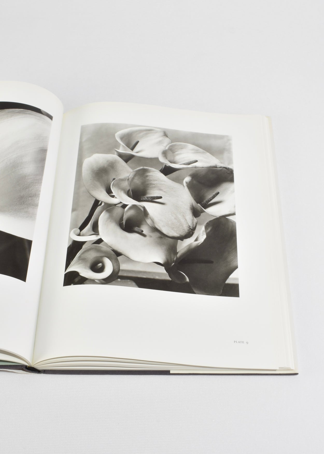 Imogen Cunningham: Flora