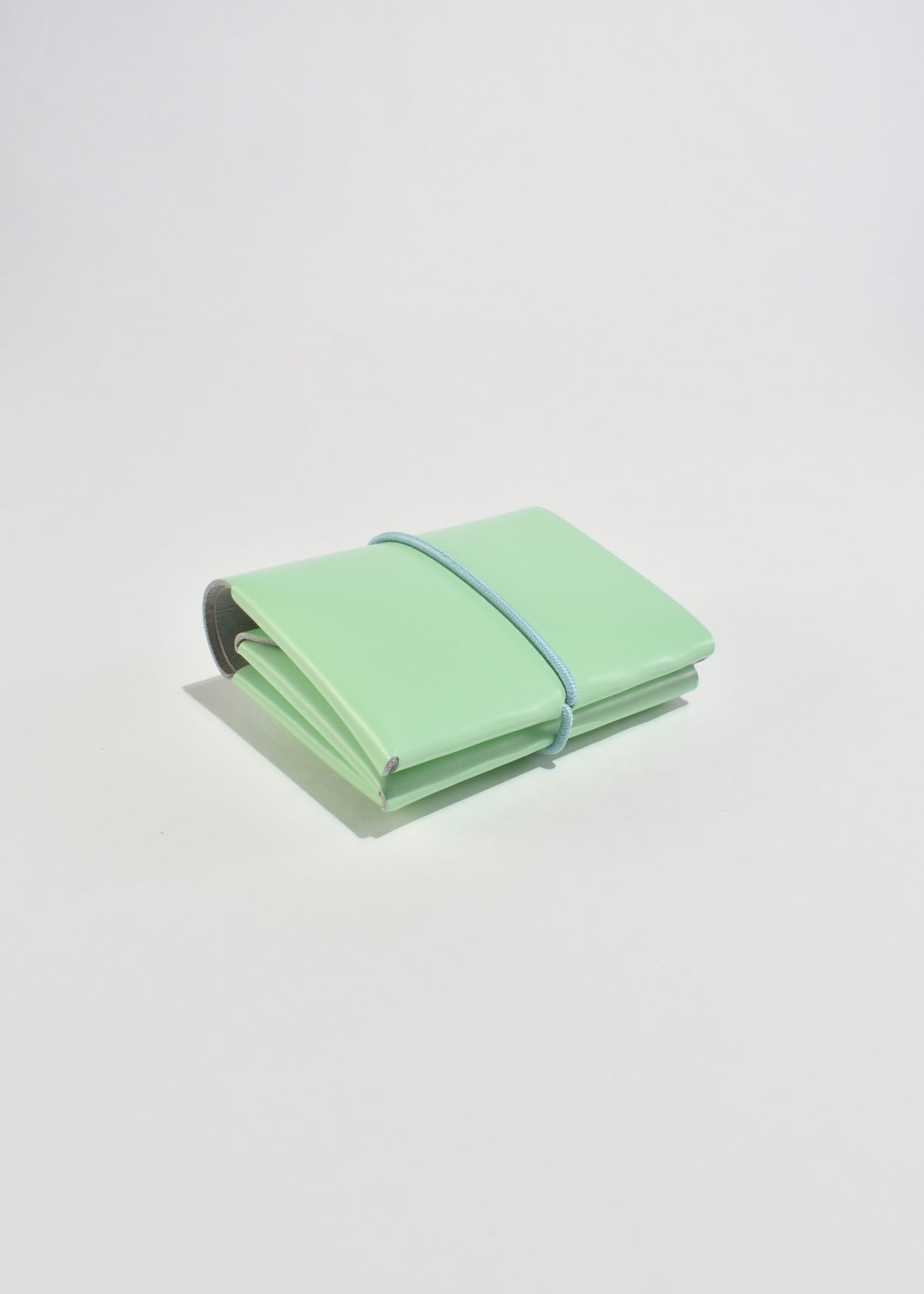 Seamless Mini Wallet in Mint
