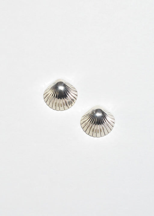Scallop Shell Earrings