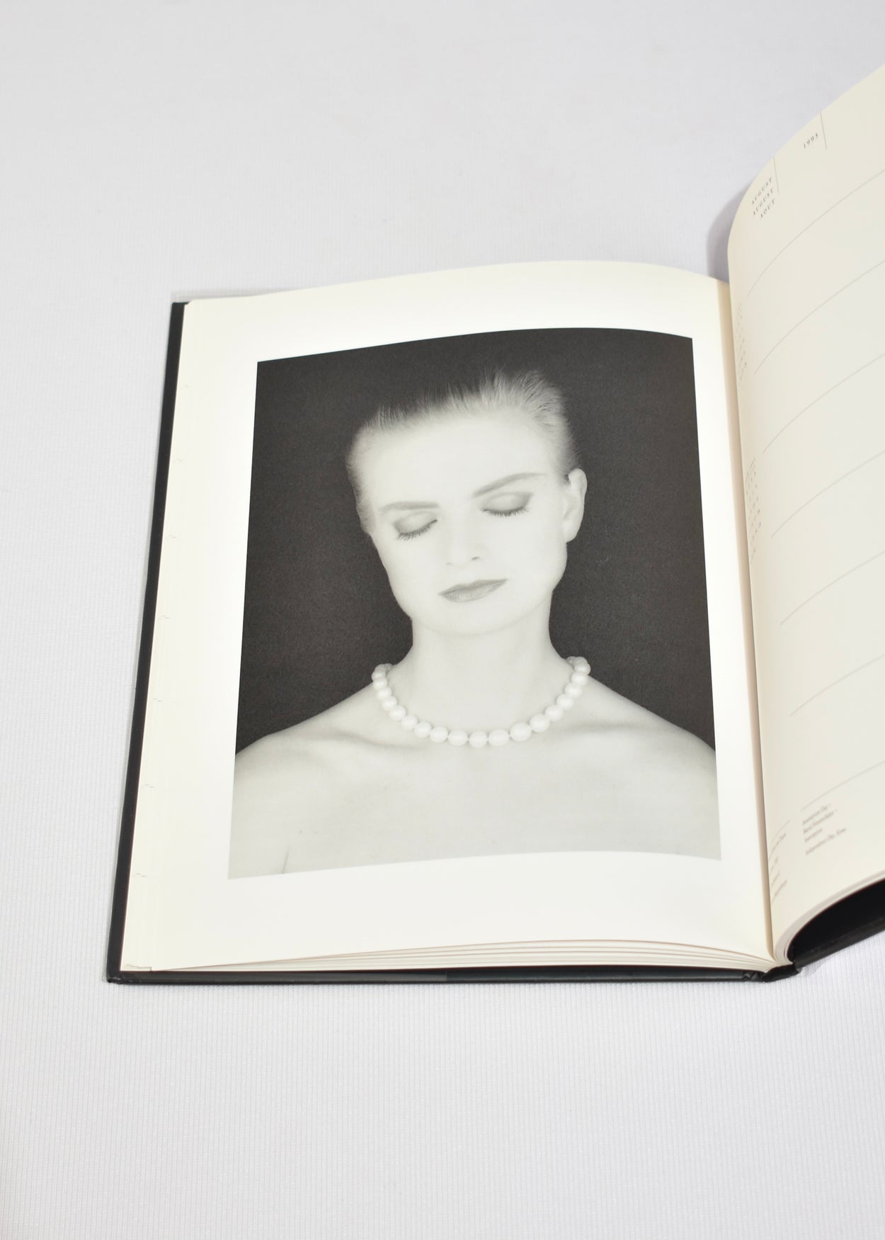 Mapplethorpe 1993 Diary