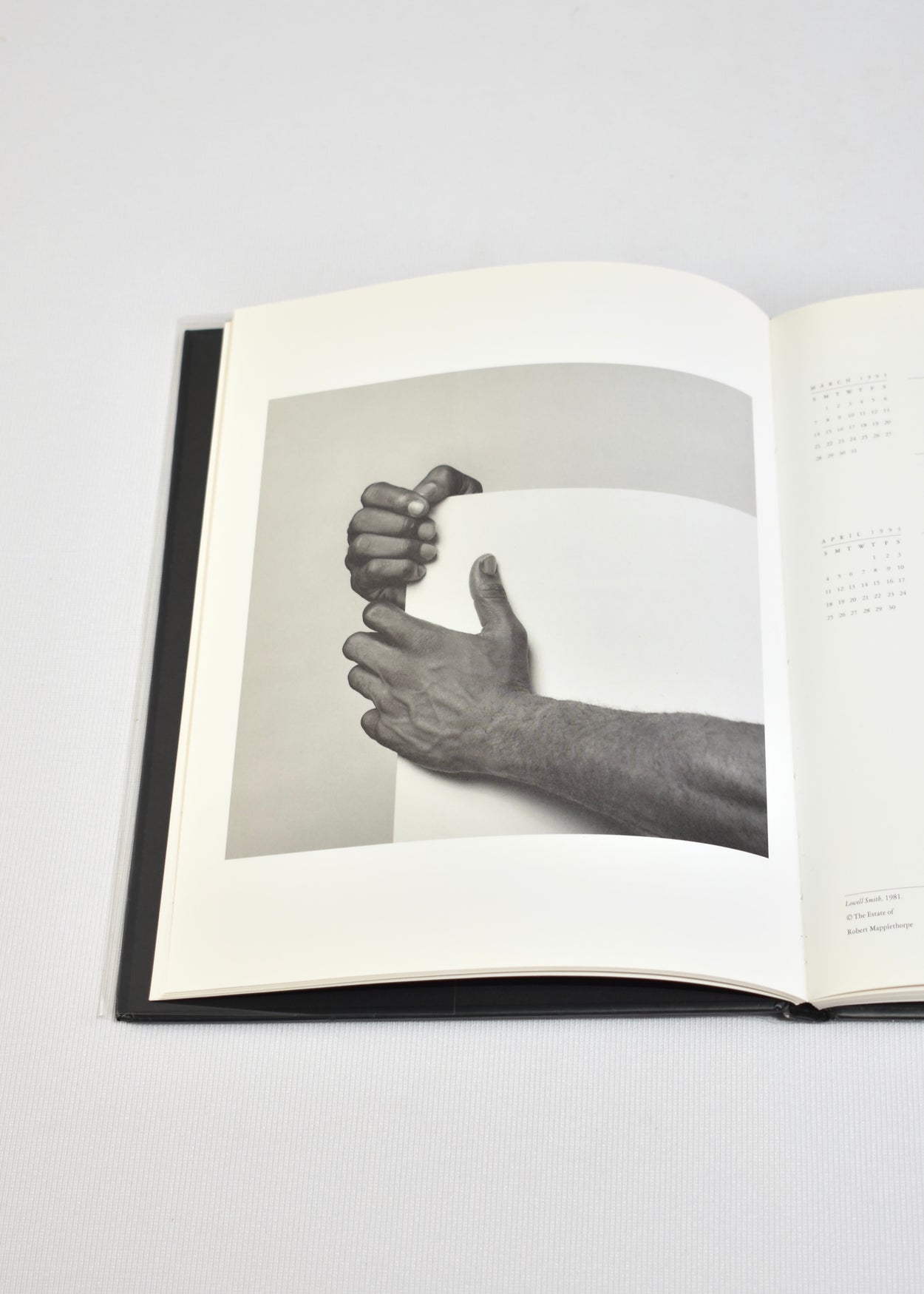 Mapplethorpe 1993 Diary