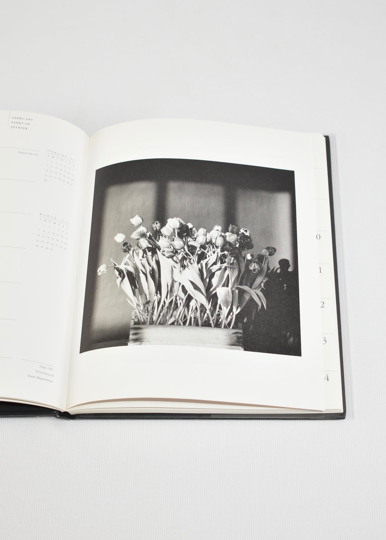 Mapplethorpe 1993 Diary