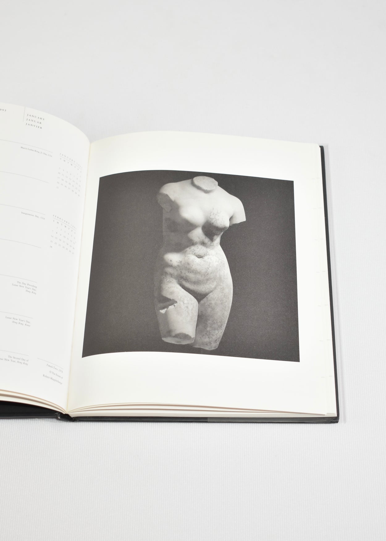 Mapplethorpe 1993 Diary