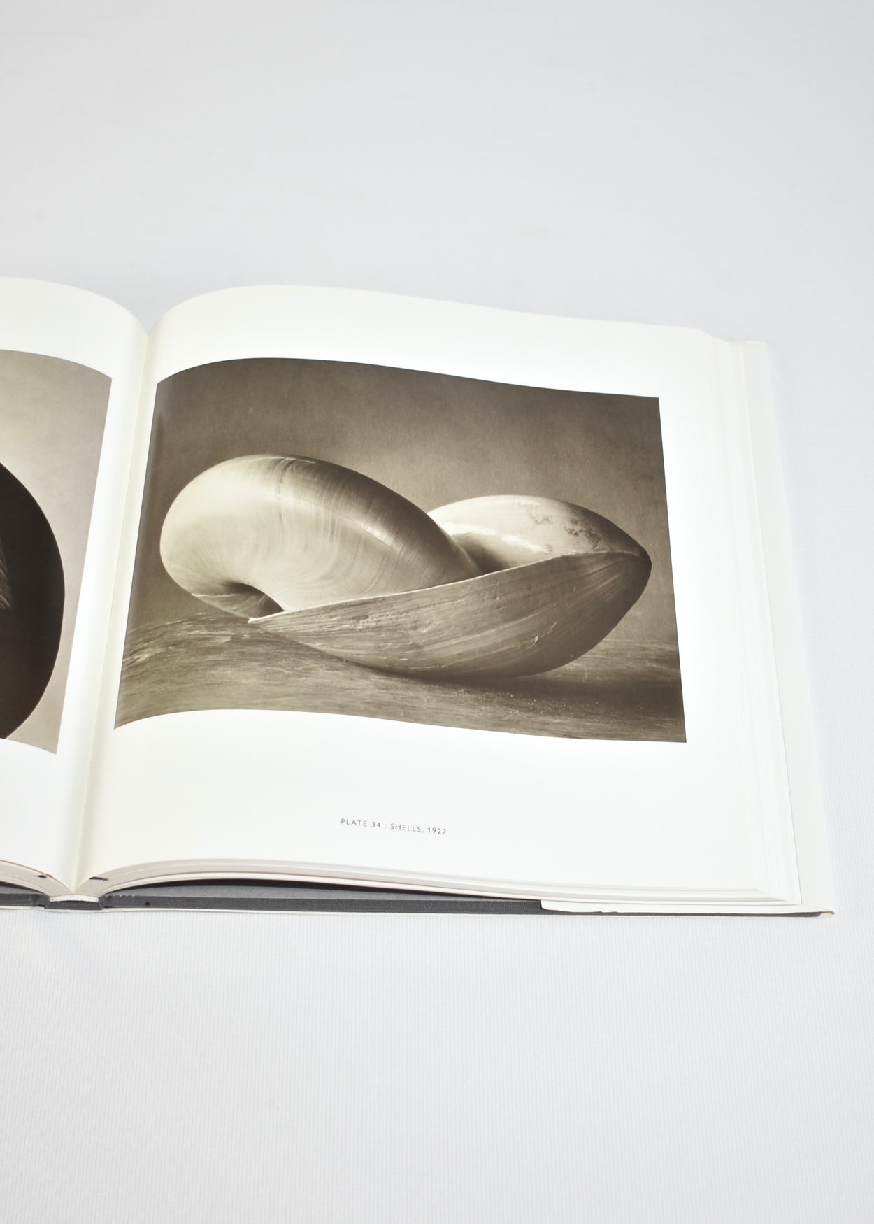 Edward Weston: Photography and Modernism