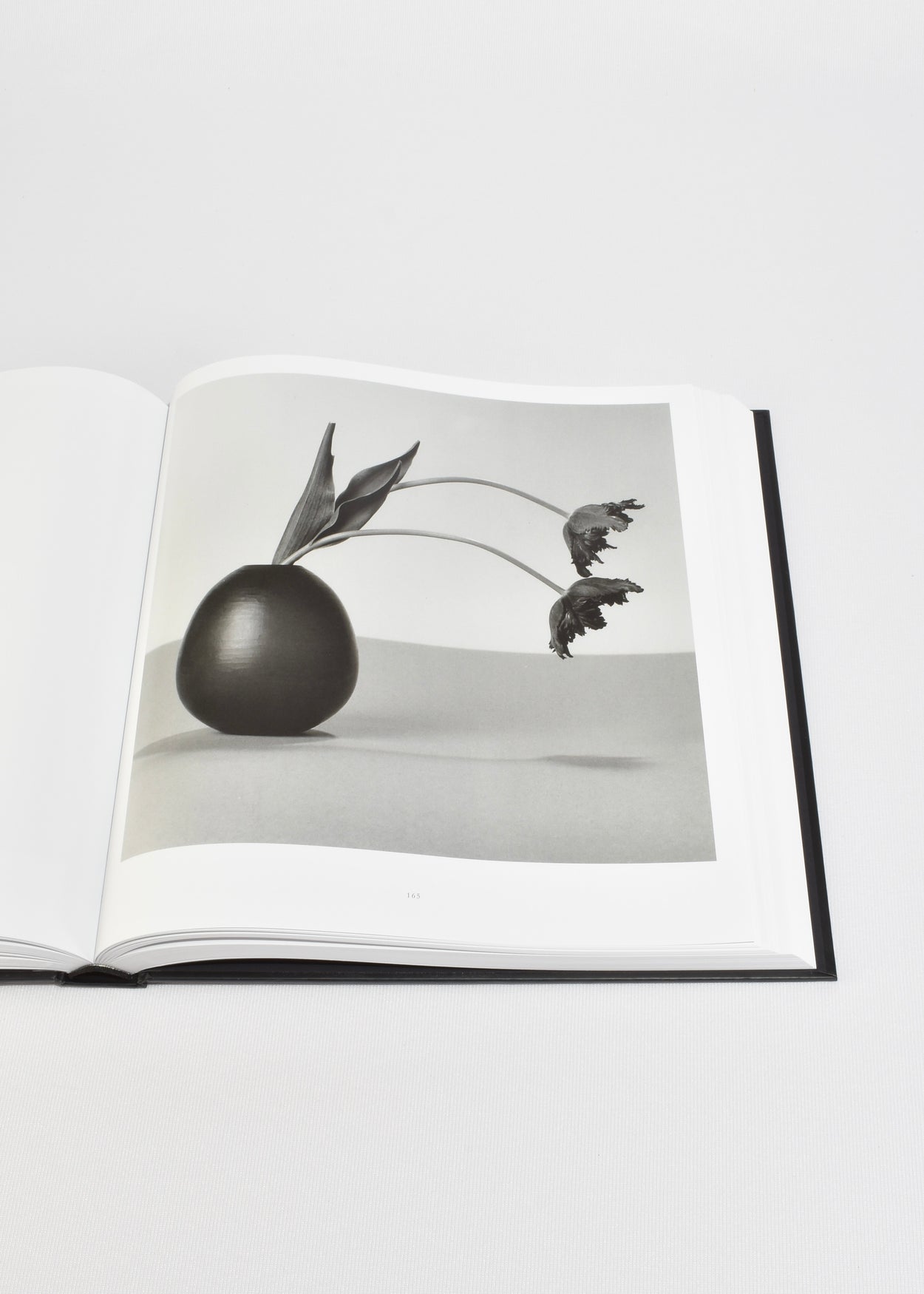 Mapplethorpe Flora