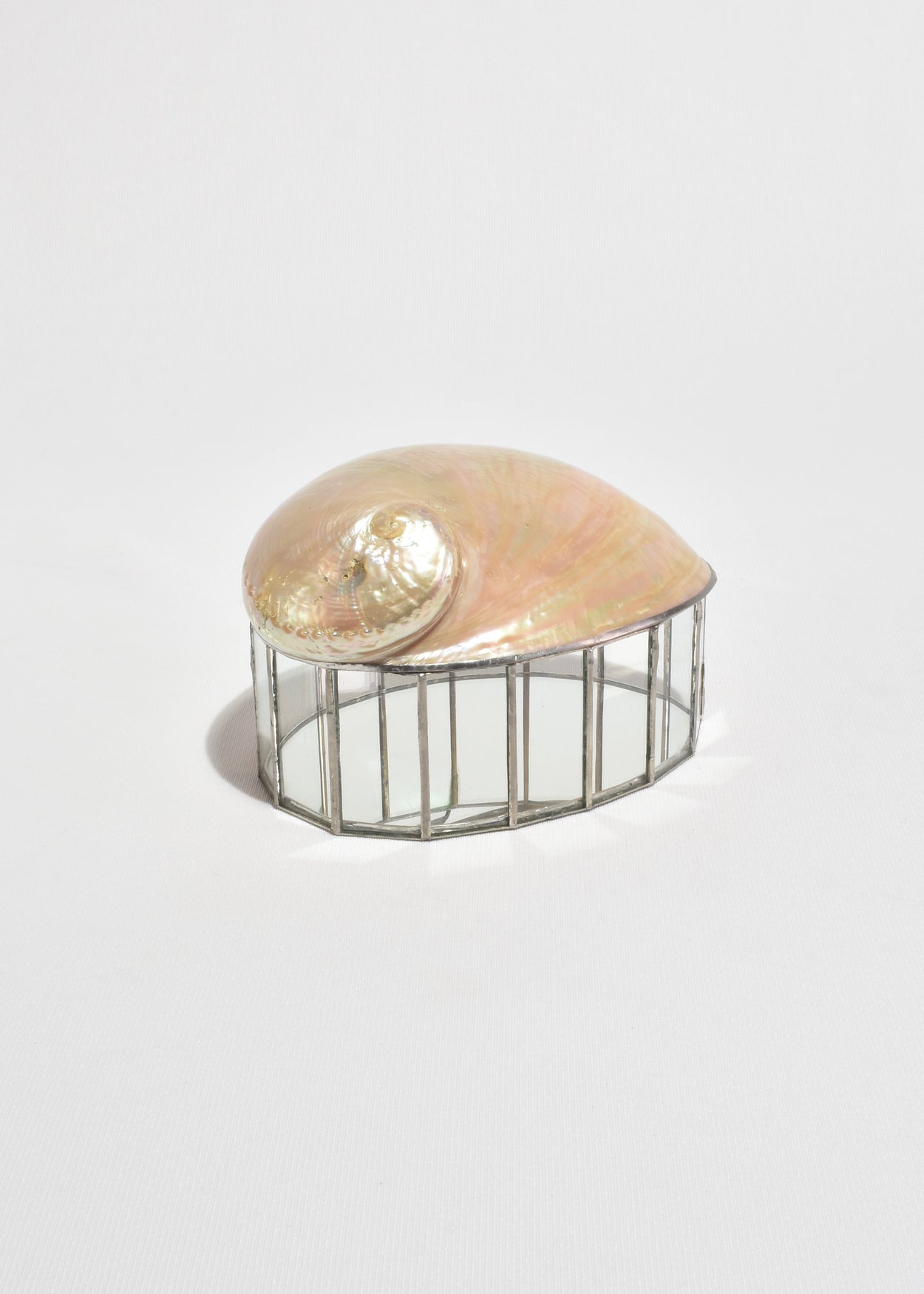 Shell Glass Box