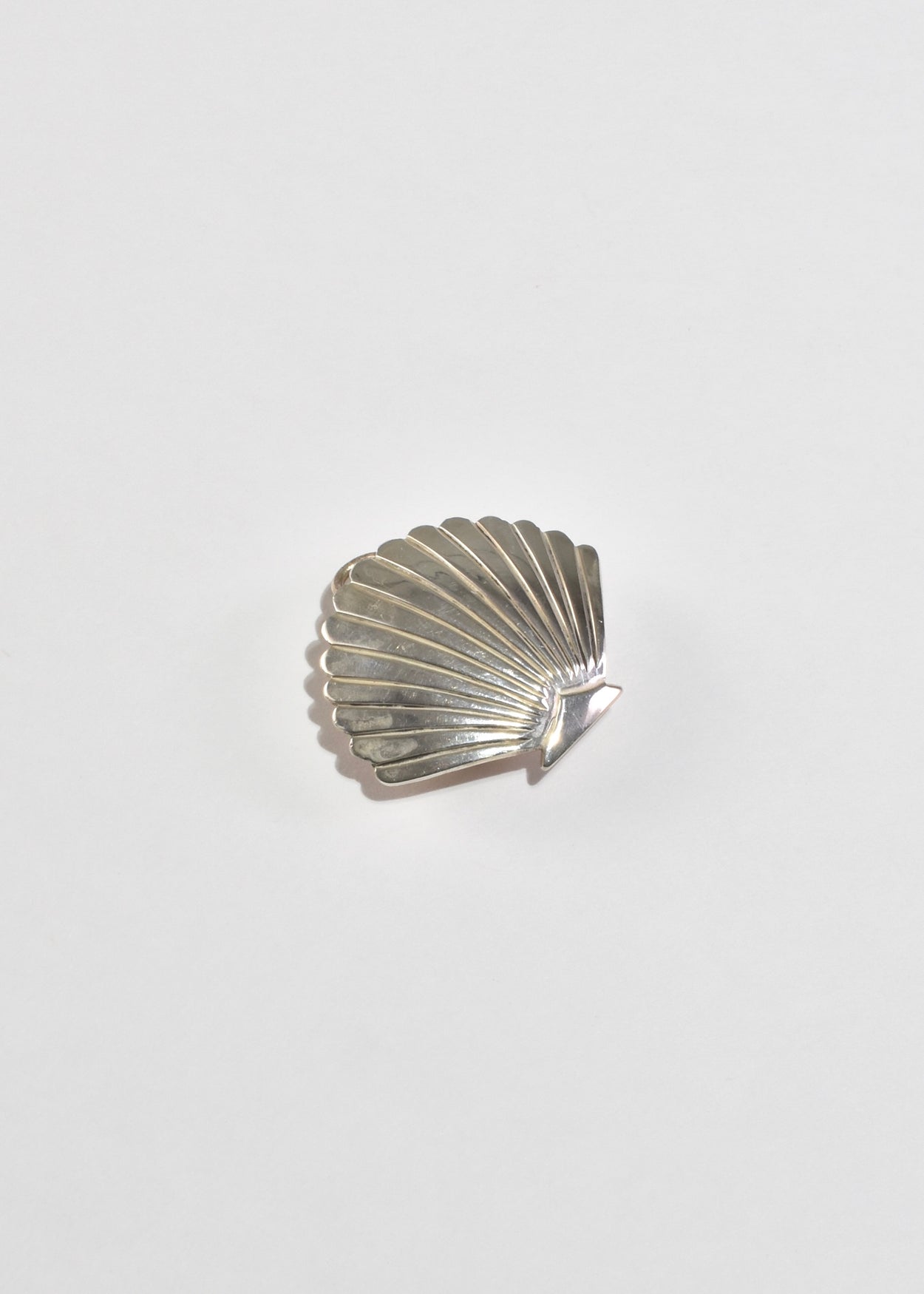 Scallop Shell Belt Buckle