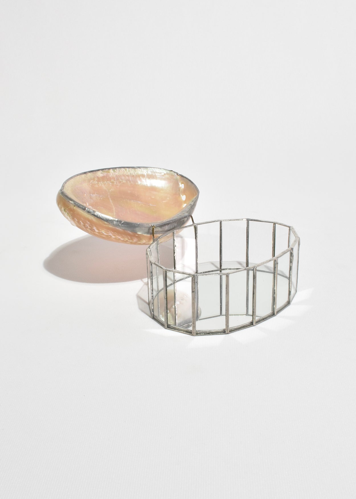 Shell Glass Box