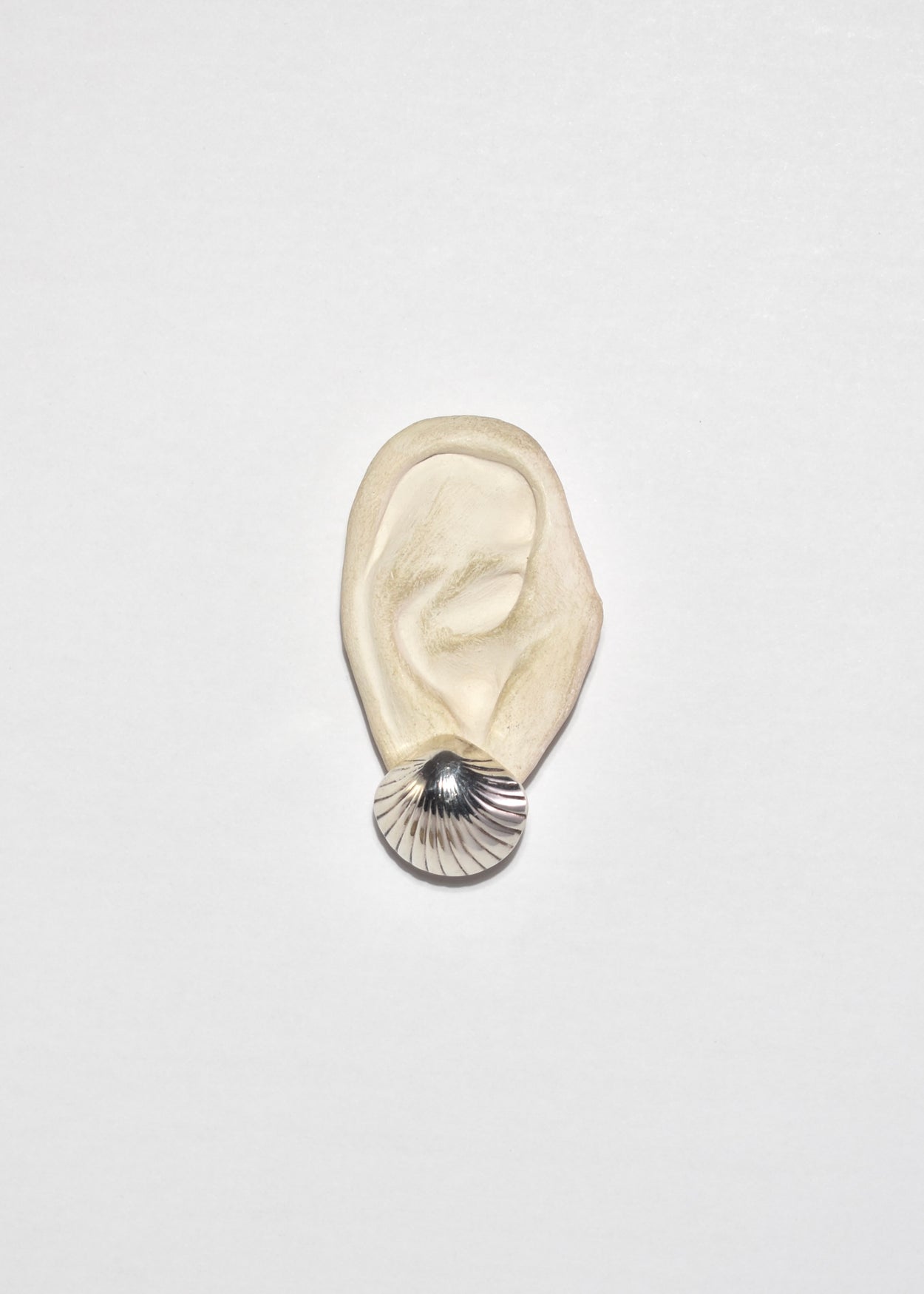 Scallop Shell Earrings