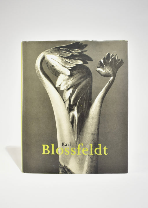 Karl Blossfeldt