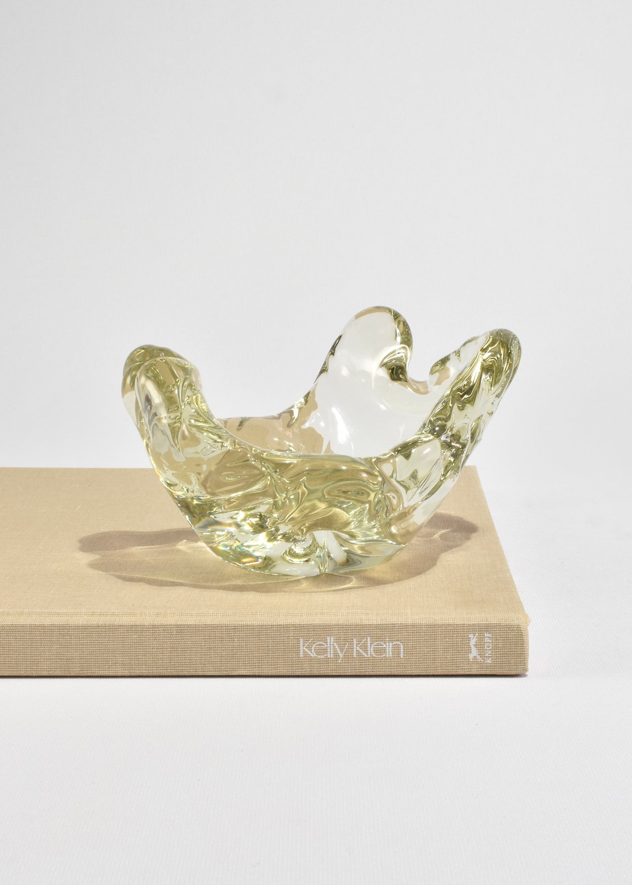 Organic Glass Bowl