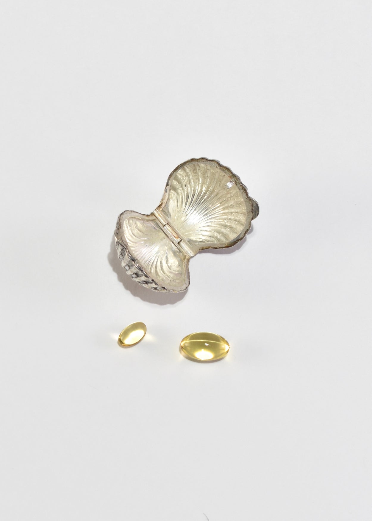 Scallop Shell Pillbox
