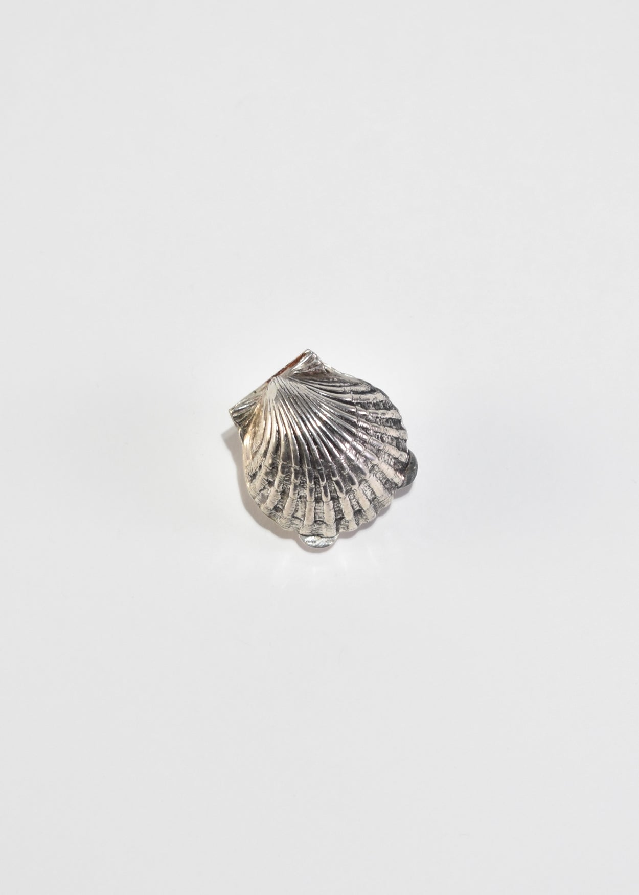 Scallop Shell Pillbox