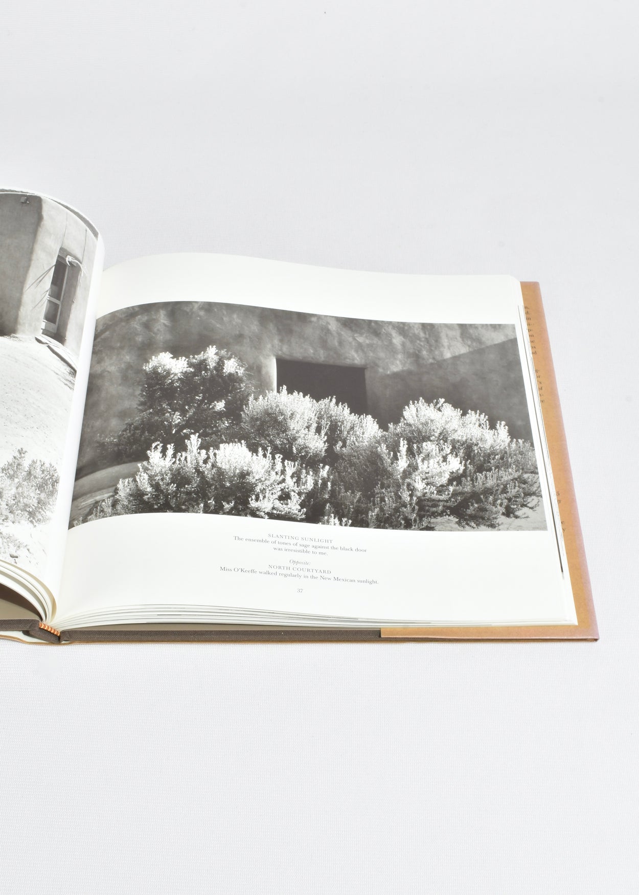 O'Keeffe at Abiquiu