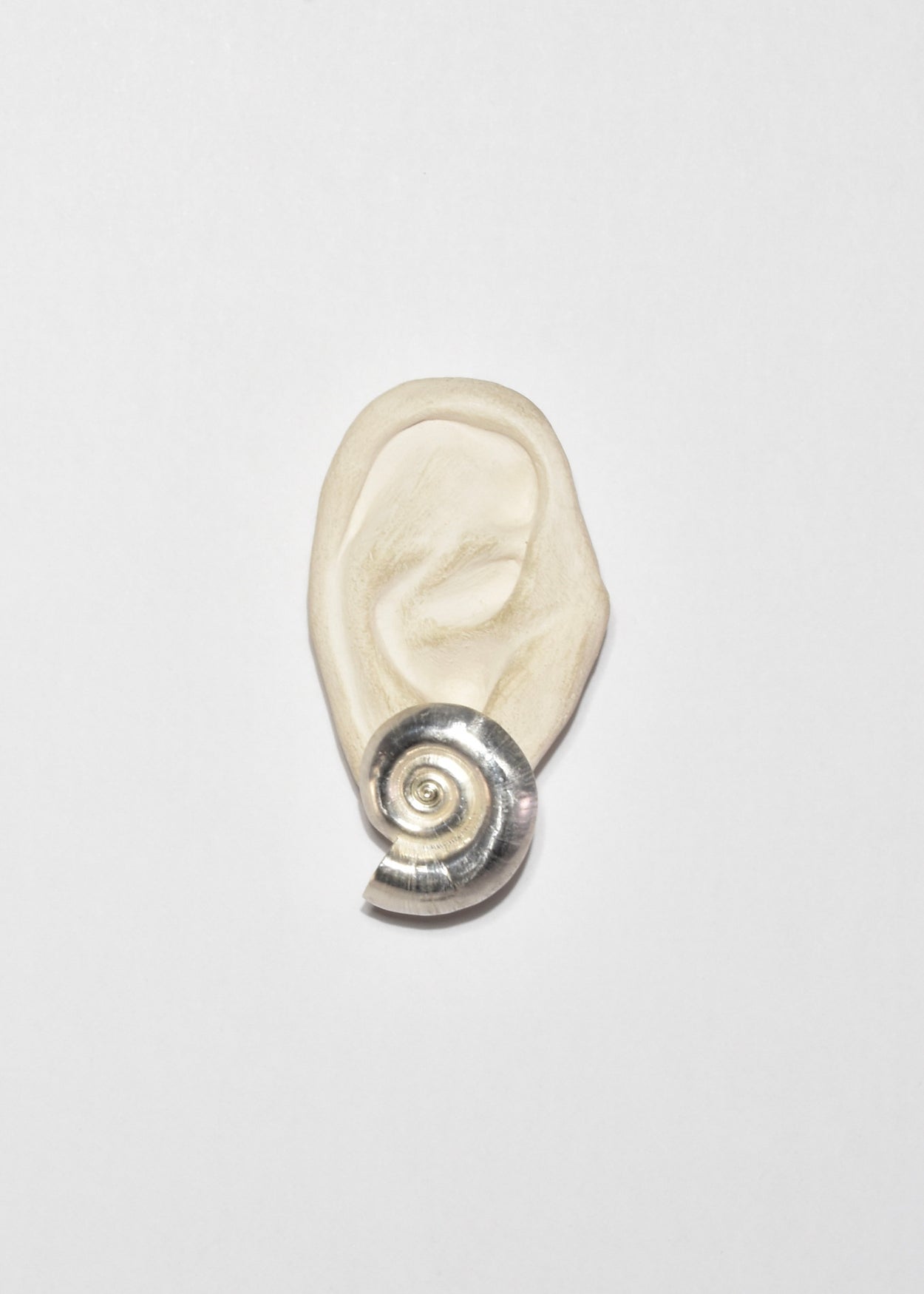 Silver Nautilus Earrings