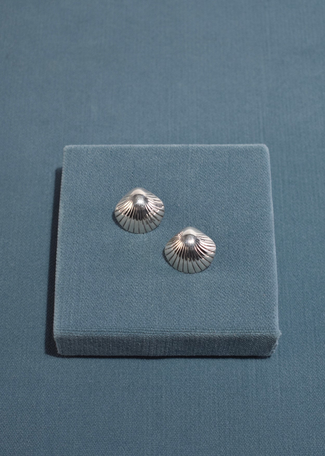 Scallop Shell Earrings