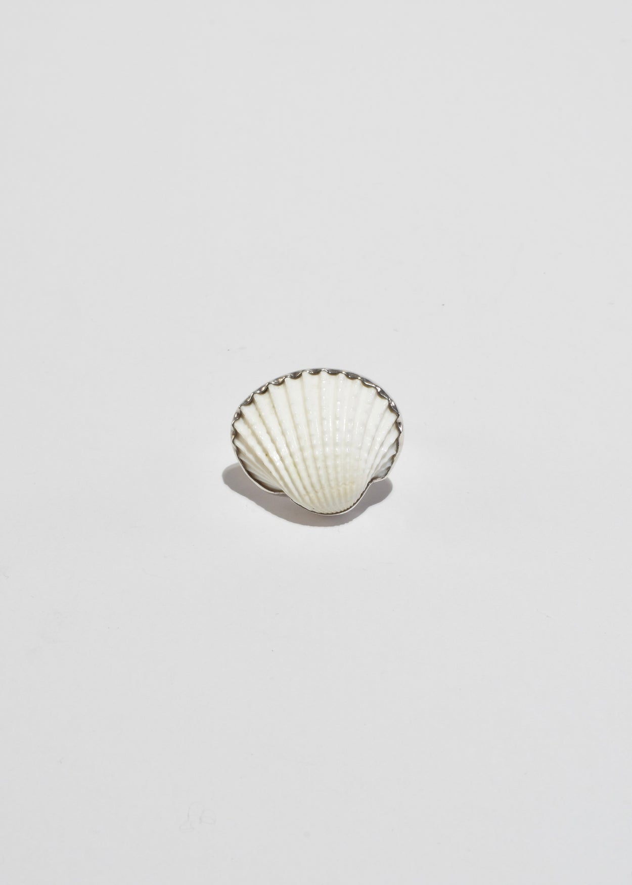 Scallop Shell Ring — Casa Shop
