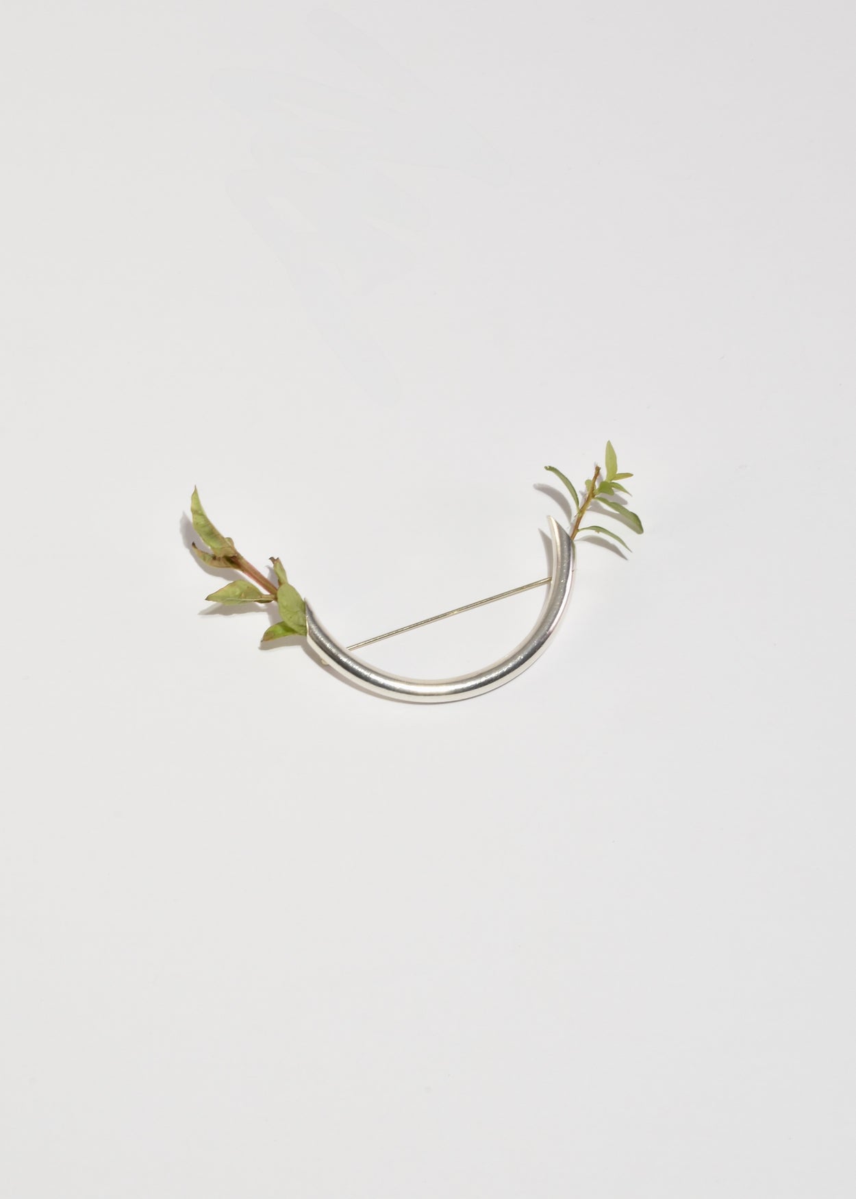 Curved Vessel Brooch