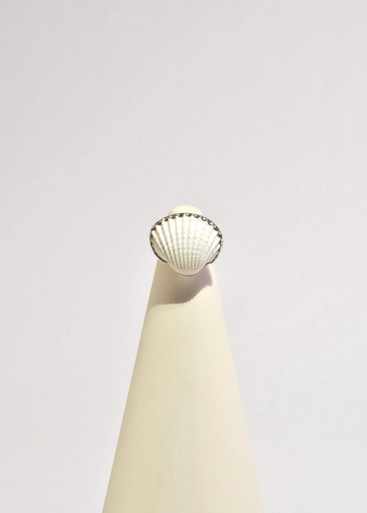 Scallop Shell Ring — Casa Shop