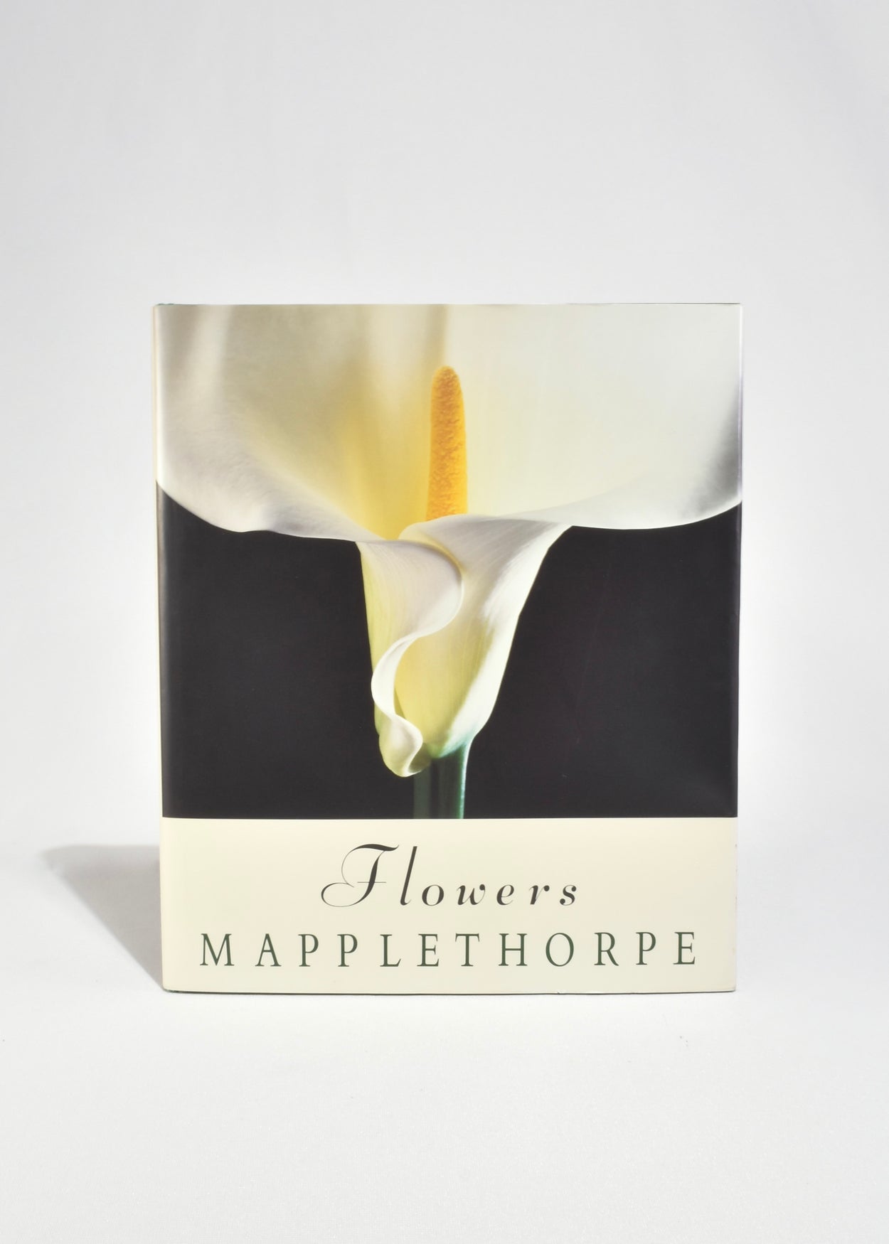 Flowers: Mapplethorpe
