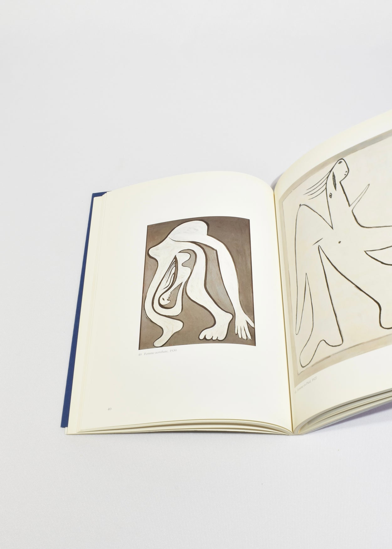 Pablo Picasso: Metamorphoses